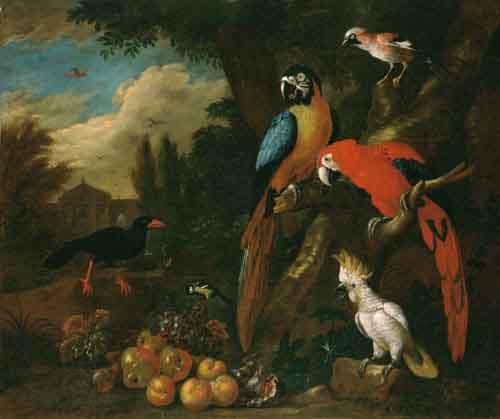 Jakob Bogdani Still Life with Fruit oil painting picture